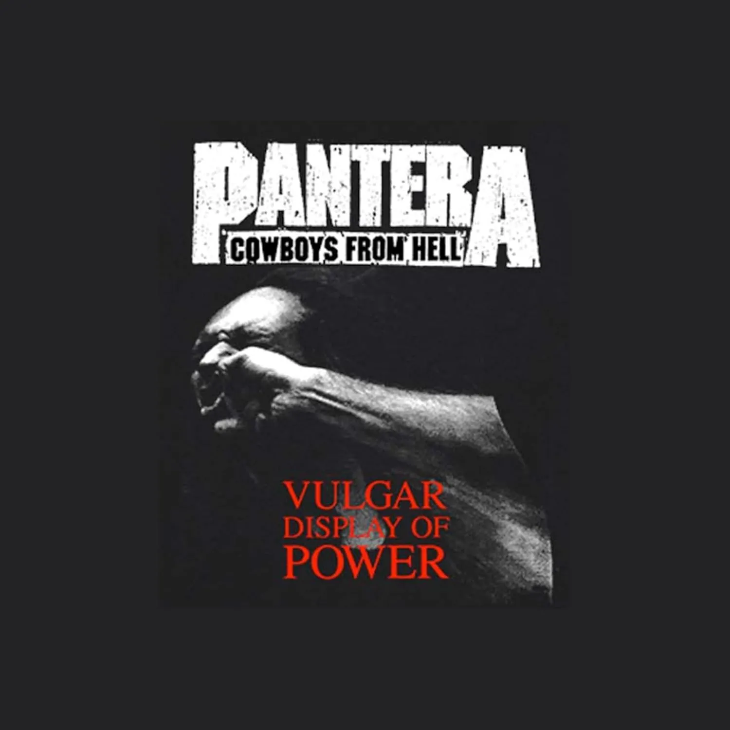 Pantera Vulgar Display Front & Back Print Adult Short Sleeve T Shirt Vintage Style Metal Rock Graphic Tee